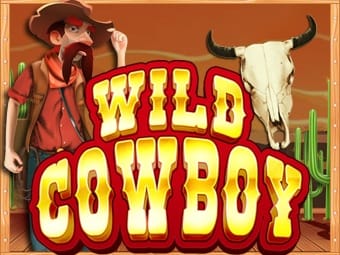 Wild Cowboy game cover