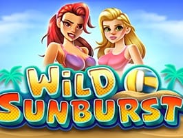 Wild Sunburst game cover
