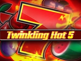 Twinkling Hot 5 game cover